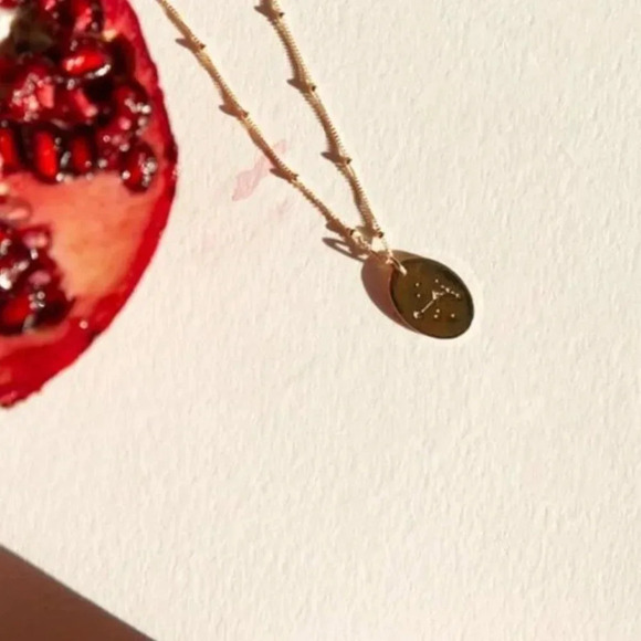 Aries Minimalist Zodiac Charm Oval Disc Necklace - Picture 5 of 8